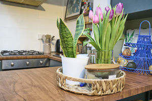 Photo 23- click for photo gallery